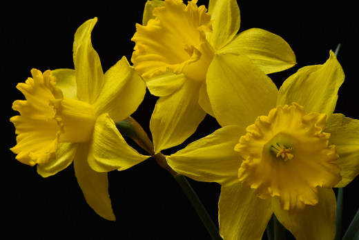 1022651 (a): :2048x1367